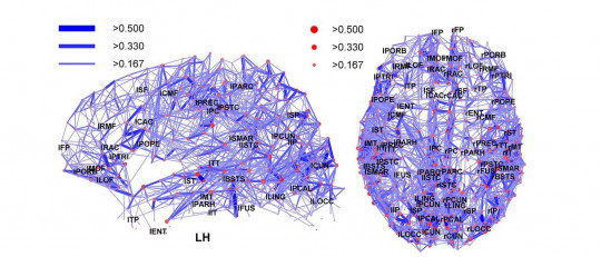 Tipos de convulsiones: ¿por qué ocurren y qué las causa?