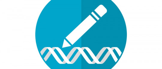 ¿Es peligrosa la edición genética?