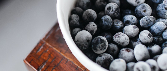 Métodos de conservación de alimentos