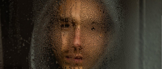 Hipótesis de la negociación de la depresión