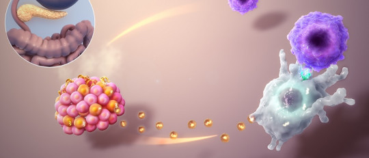 Enfermedades del sistema endocrino