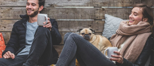 La relación entre inteligencia y felicidad