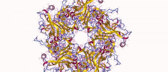 Virus del papiloma humano