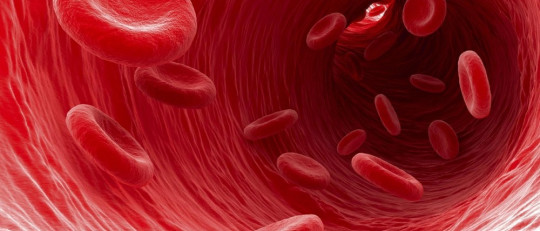 Síndromes mieloproliferativos: tipos y causas