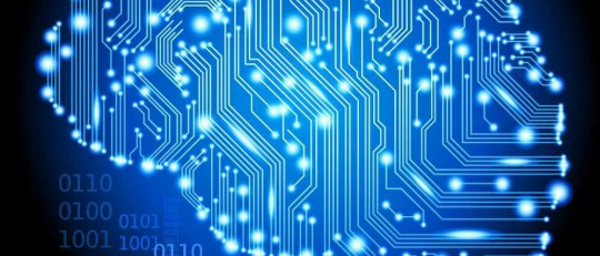 El reduccionismo y la Psicología: por qué no todo está en el cerebro