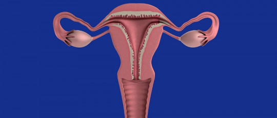 Síndrome de Mittelschmerz