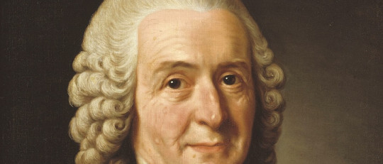 Carl von Linné