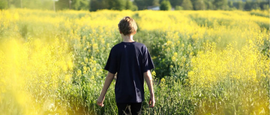 ¿Cómo fomentar la resiliencia en los niños y niñas?