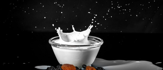 Intolerancia a la lactosa