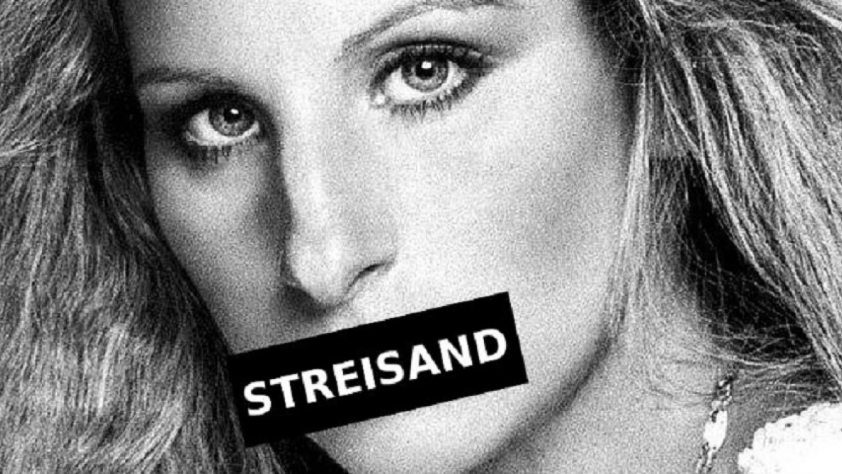 efecto-streisand-wide_webp.webp