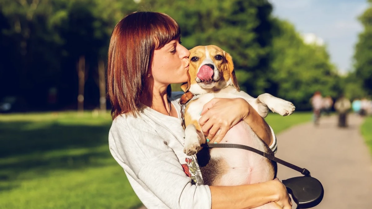 Antrozoología: qué es y cómo estudia el vínculo entre animales y humanos