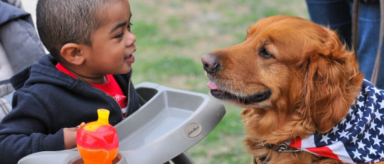 Intervención Asistida con Animales: una terapia especial
