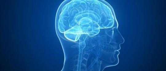 Afasia Global: síntomas, causas y tratamiento