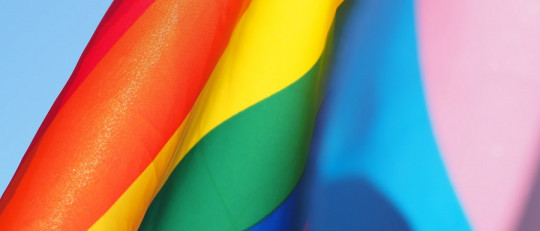 Diversidad sexo-génerica: qué es y cómo se expresa