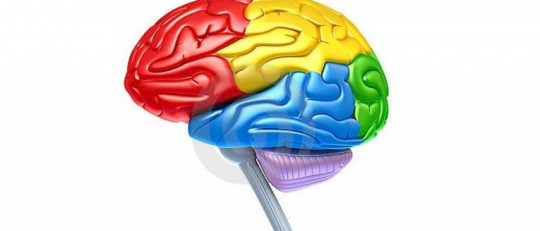 10 fenómenos psicológicos que te sorprenderán