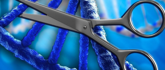 Consiguen corregir una enfermedad genética editando el ADN