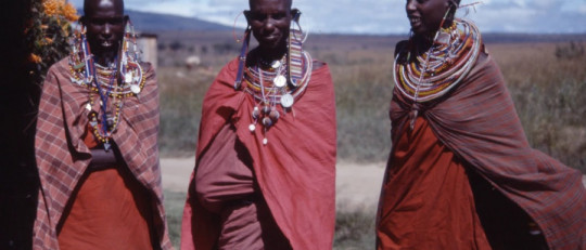 Particularismo histórico