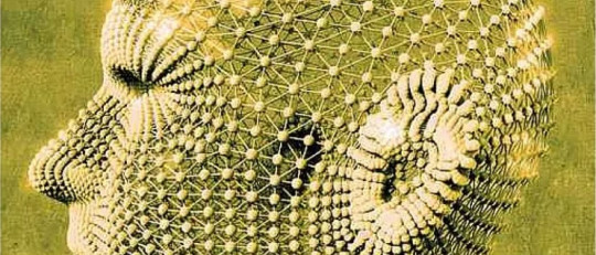 El conductismo biológico de William D. Timberlake