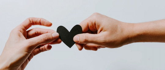 La Teoría del Sociómetro