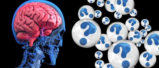 La teoría general de esquemas de Rumelhart y Norman