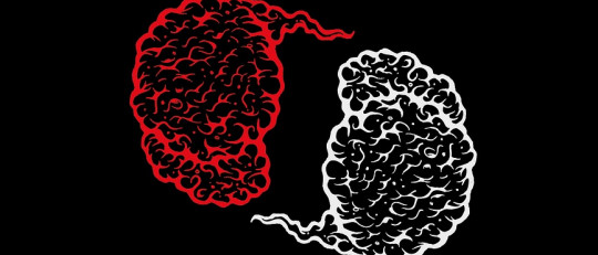 Descubren rasgos inusuales en el cerebro de las personas con TDAH