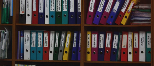 Ejemplos de monografías, explicados