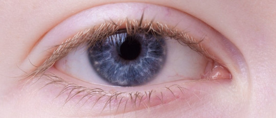 Los 5 tipos de agnosia (visual, auditiva, táctil, motora y corporal)