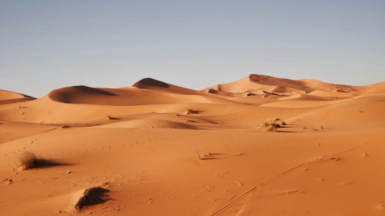 Los 11 tipos de desiertos, y sus características