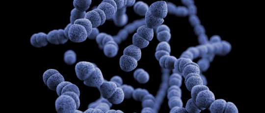 Teoría de la síntesis abiótica