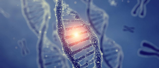 Nucleótidos del ADN