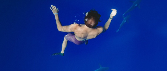 Modelo del triple sistema de respuesta