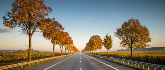 5 pasos para que cumplas tus resoluciones de año de una vez por todas