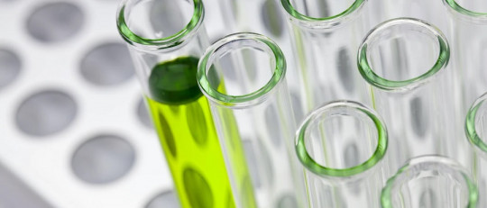 Las 7 diferencias entre conocimiento vulgar y conocimiento científico