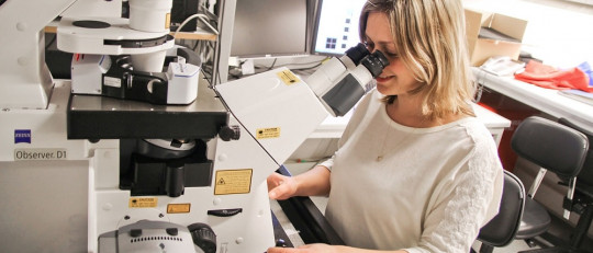 Las 7 diferencias entre ciencias sociales y ciencias naturales