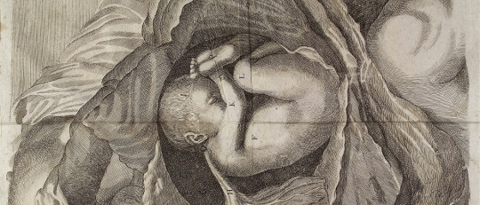 Los 13 tipos de aborto (y sus efectos psicológicos y físicos)