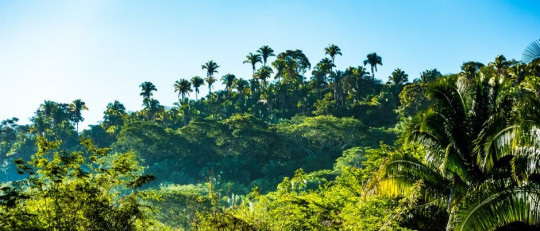 Los 6 tipos de ecosistemas: los diferentes hábitats que encontramos en la Tierra