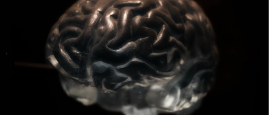 Los 4 grandes modelos integradores en terapia psicológica