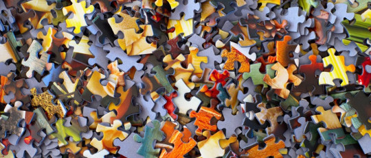 Los tipos de curiosidad