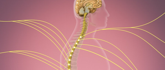 Sensibilización central