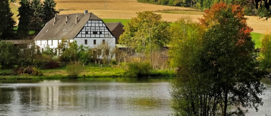 Las 11 diferencias entre el campo y la ciudad