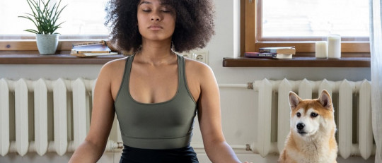 Los mejores Cursos de Meditación online