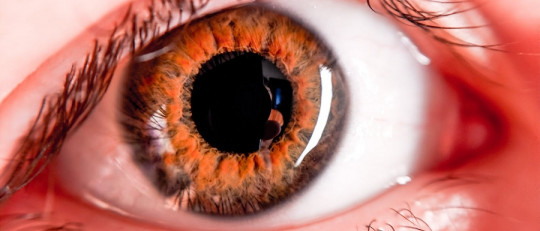 Estado elevado de consciencia