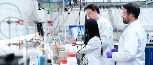 Ejemplos de investigación cuantitativa (explicados)