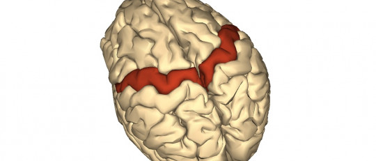 ¿Qué son los falsos recuerdos y por qué los sufrimos?