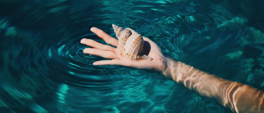 Los 8 tipos de confianza: ¿cuáles son?