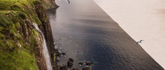 Los tipos de negacionistas más importantes