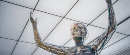 Canales de percepción