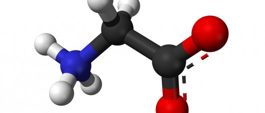 Glicina (neurotransmisor): qué es y cómo actúa sobre el organismo