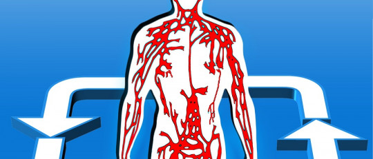 Energía metabólica