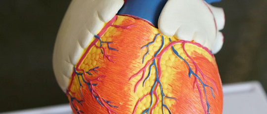 La Ley de Frank-Starling